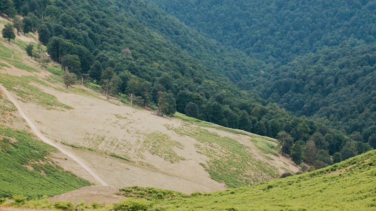 Hillsides are covered in grass and trees.